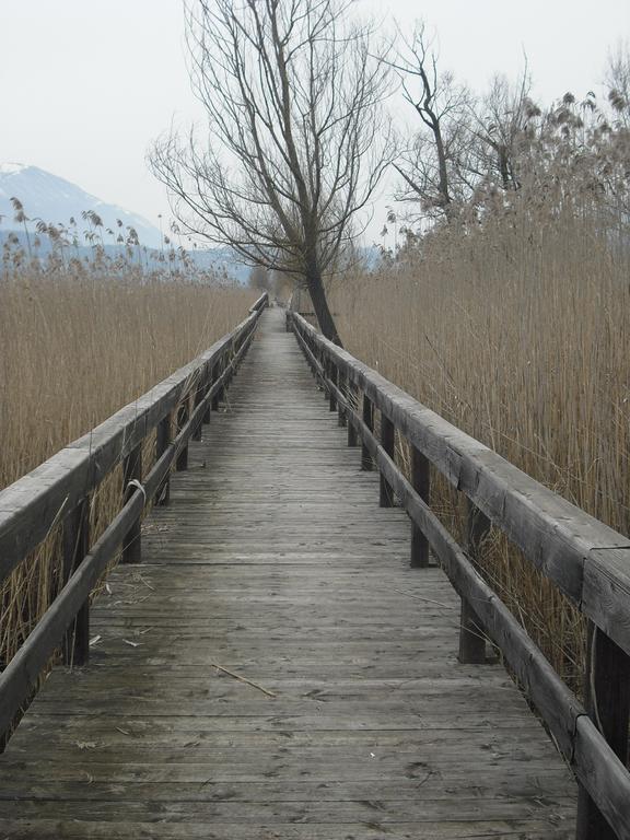 La Casa Sul Lago Posta Fibreno ภายนอก รูปภาพ