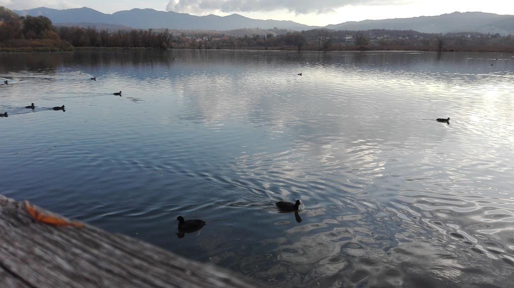 La Casa Sul Lago Posta Fibreno ภายนอก รูปภาพ