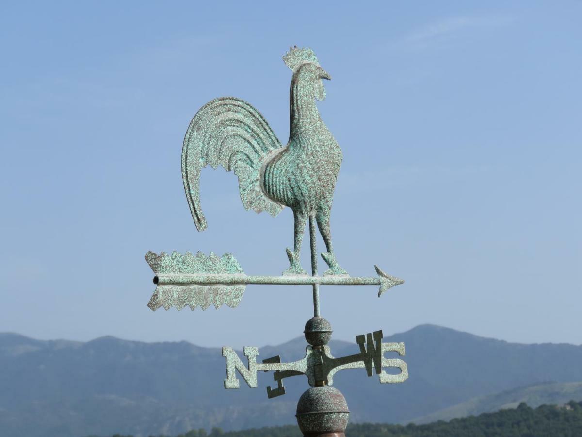 La Casa Sul Lago Posta Fibreno ภายนอก รูปภาพ